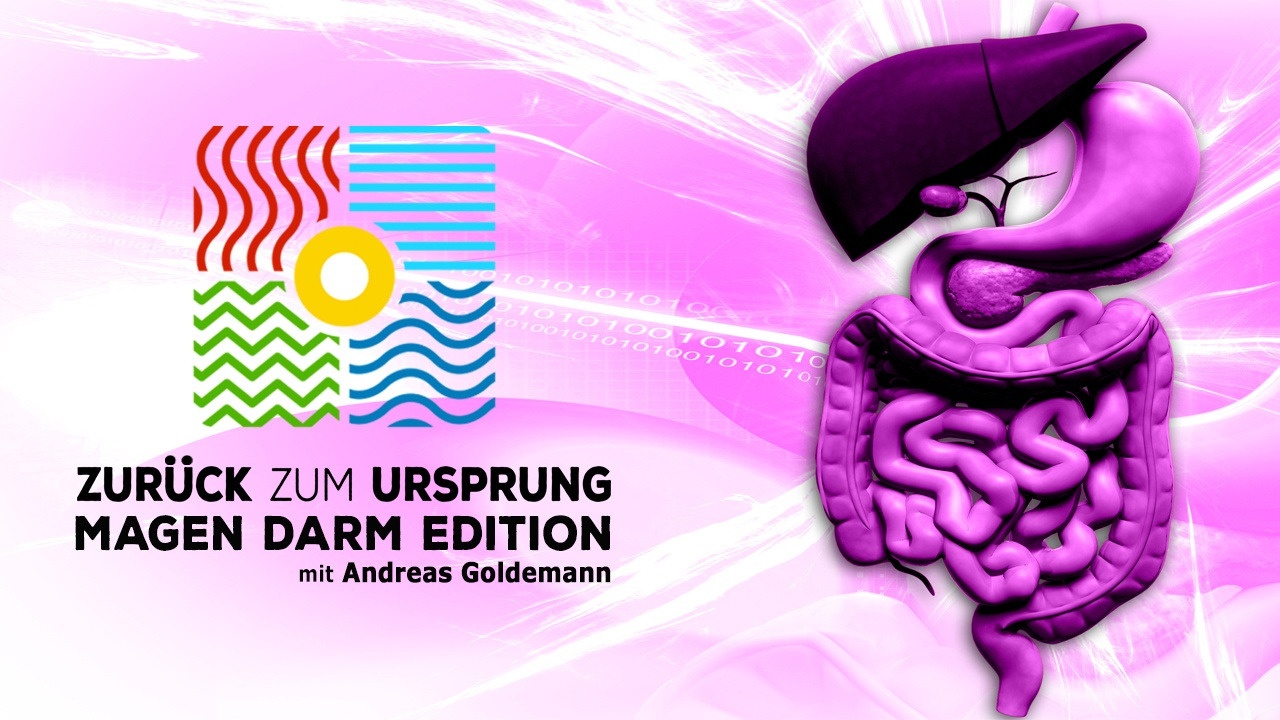 „Zurück zum Ursprung – Magen Darm Edition“