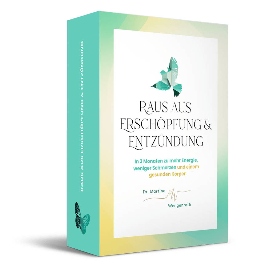 Fortbildung (Dr. M. Wengenroth) “Erschöpfung und Entzündung” Raus aus Erschöpfung & entzündung