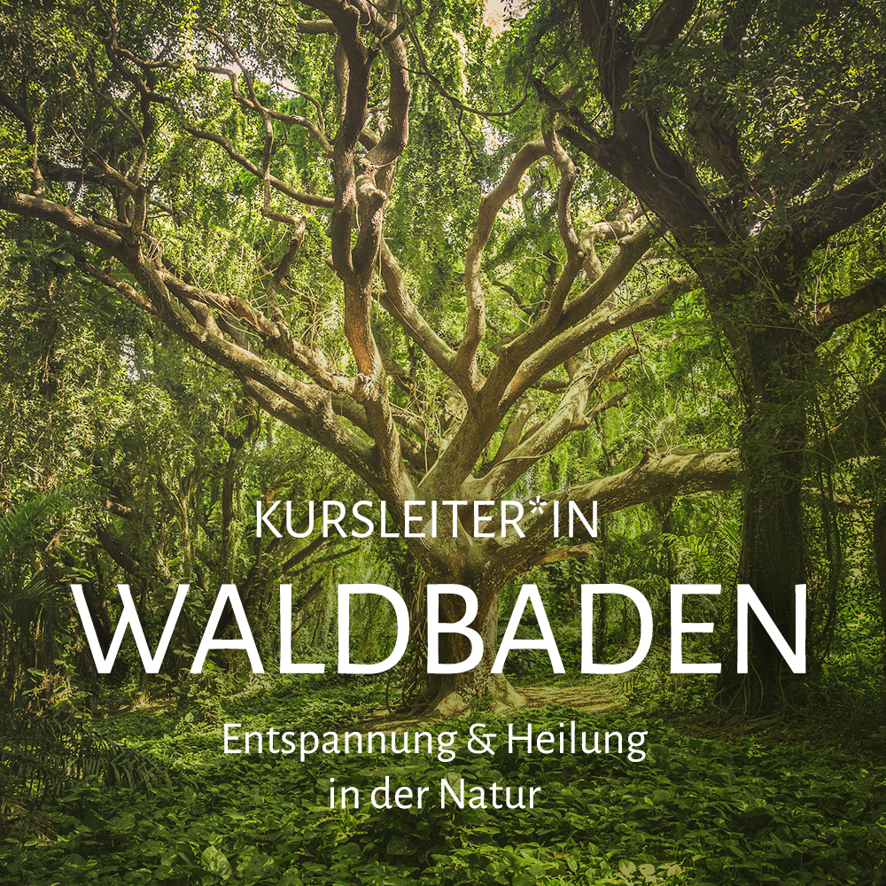 Online-Ausbildung “Waldbaden und Naturtherapie”
