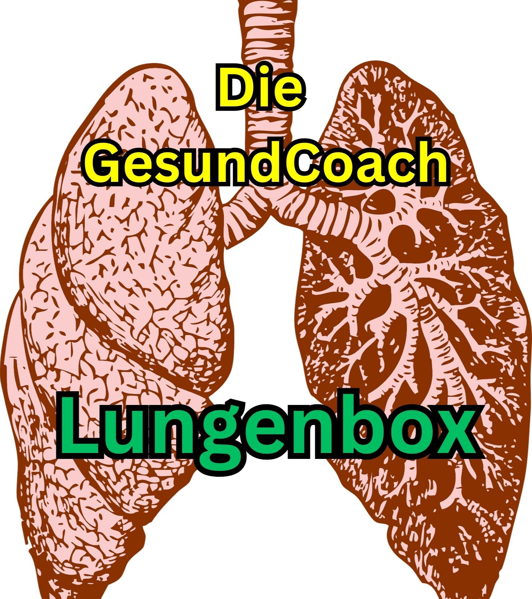 Die GesundCoach Lungenbox